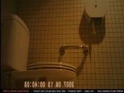 Порно ролики скрытая камера в женских туалетах